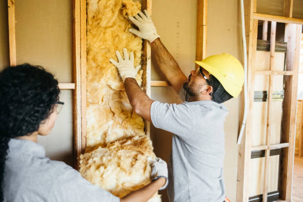 Best Commercial Insulation Services  in Lakes West, CT